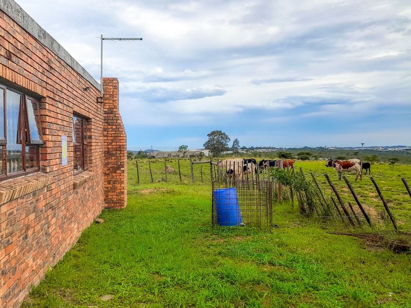 Farm for Sale – East London Rural | R3,500,000 | 9.3 ha - Photo 6