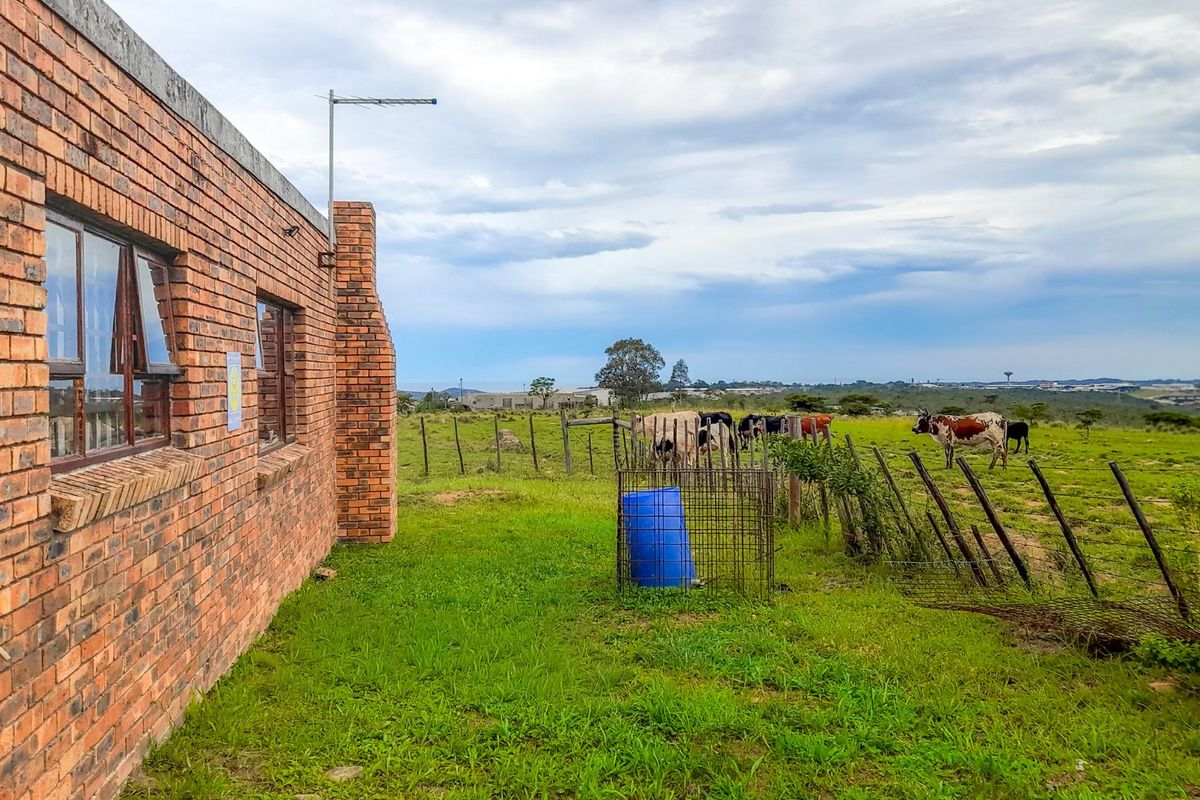 Rear view of a brick farmhouse building featuring metal-framed windows and a chimney, overlooking an open grazing pasture with wire fencing.
