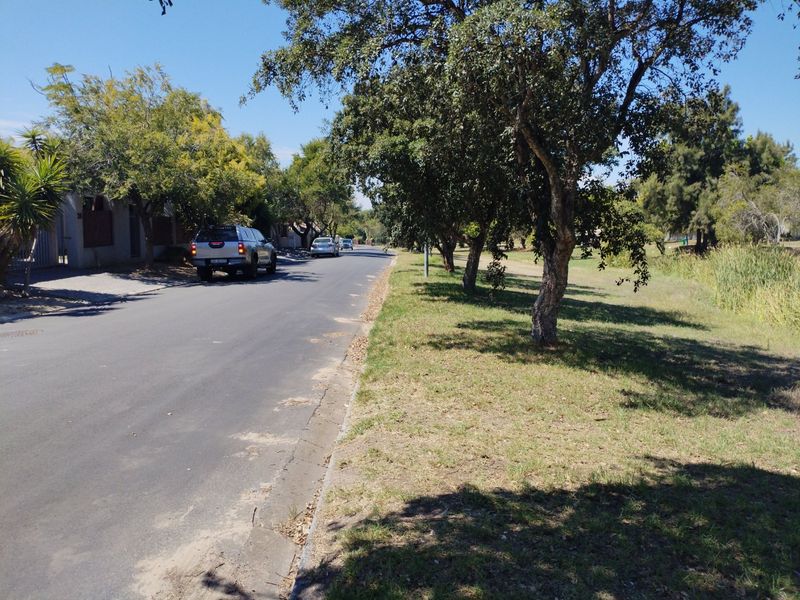 A view of the residential street featuring mature trees, a grass verge, and asphalt road surface.
