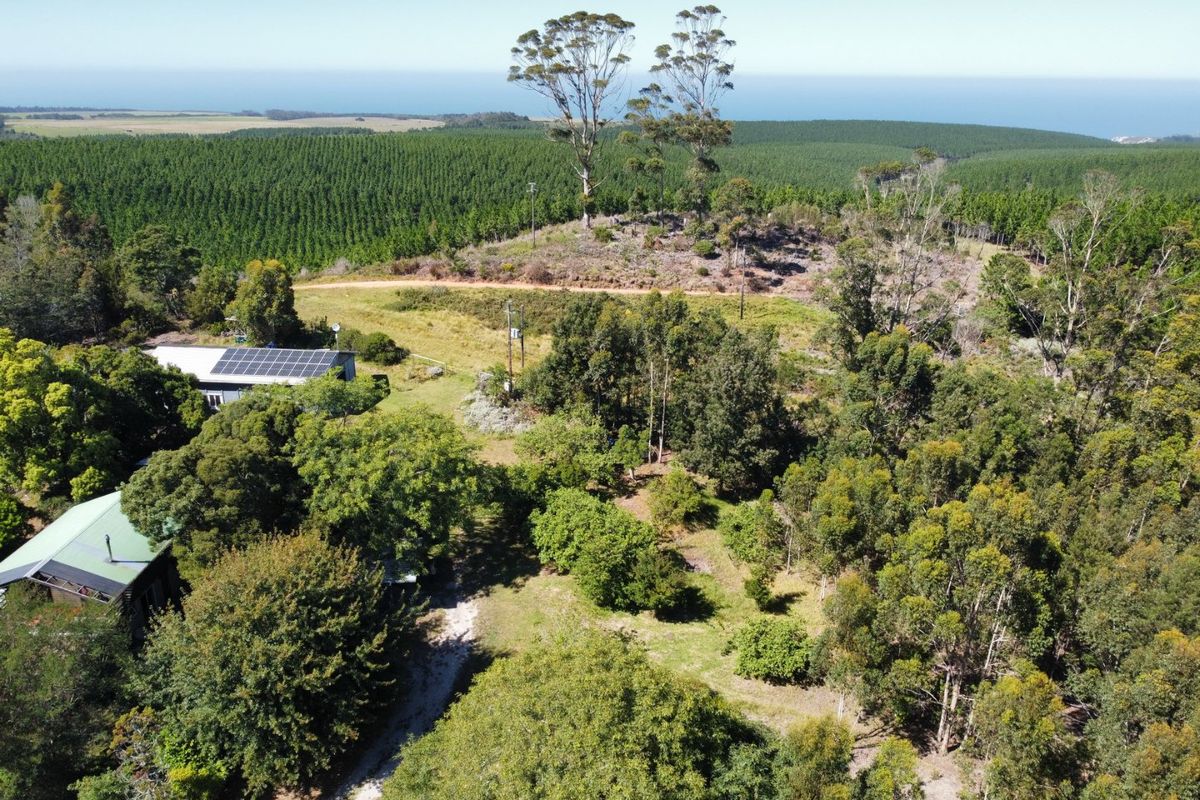 Neat farm with quaint homestead - Photo 3