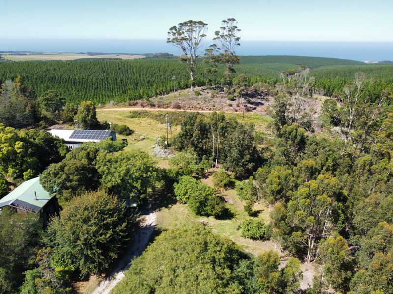 Neat farm with quaint homestead - Photo 3