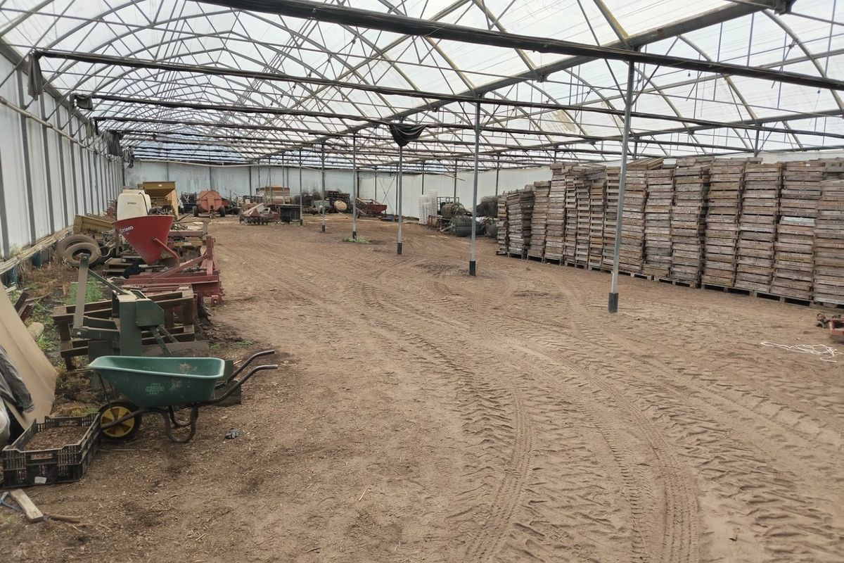 Grow anything - huge facilities - Photo 4