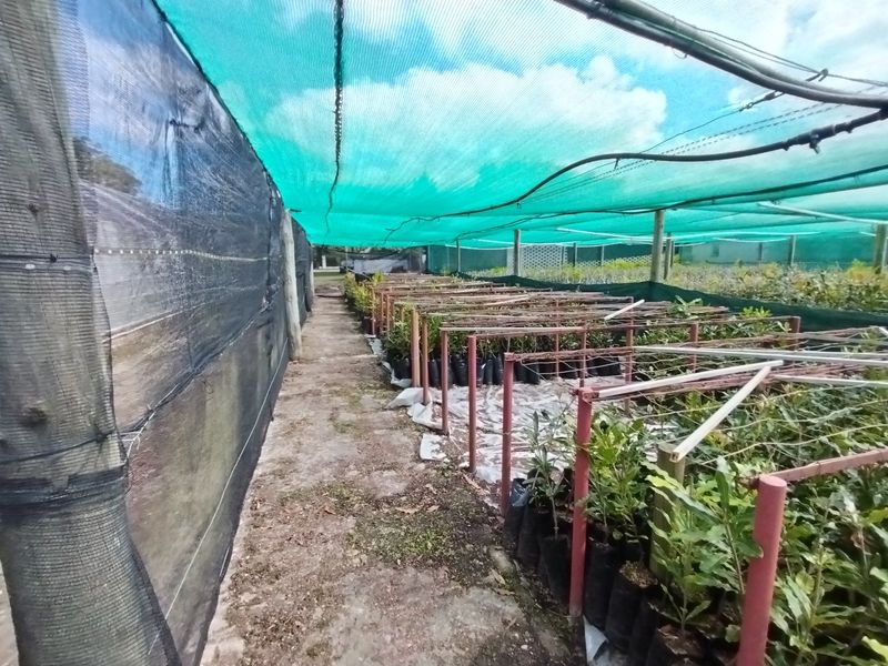 Grow anything - huge facilities - Photo 10