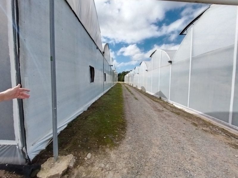 Grow anything - huge facilities - Photo 9