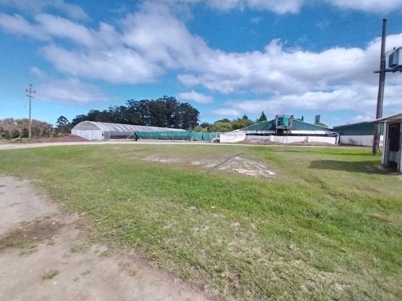 Grow anything - huge facilities - Photo 8