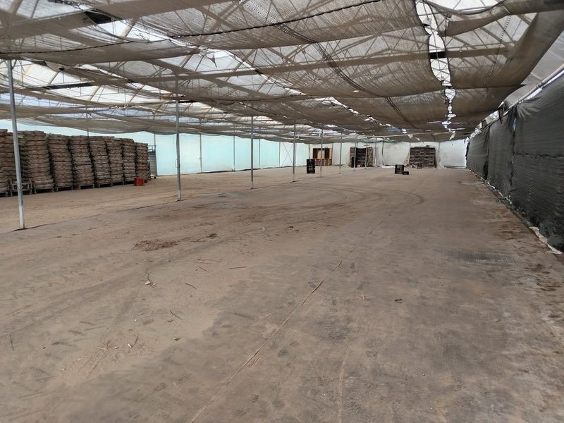 Grow anything - huge facilities - Photo 6