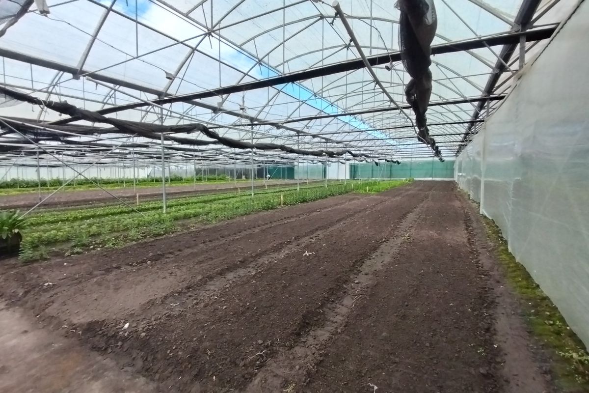 Grow anything - huge facilities - Photo 5