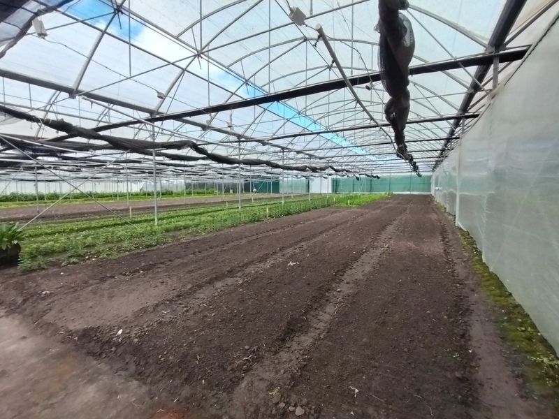 Grow anything - huge facilities - Photo 5