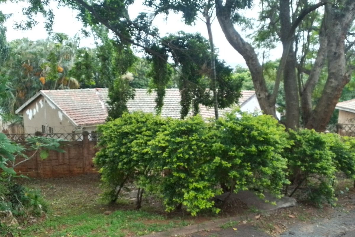 A Renovators Dream -3 Bedroom  Property in Westridge /Manor Gardens - Photo 2