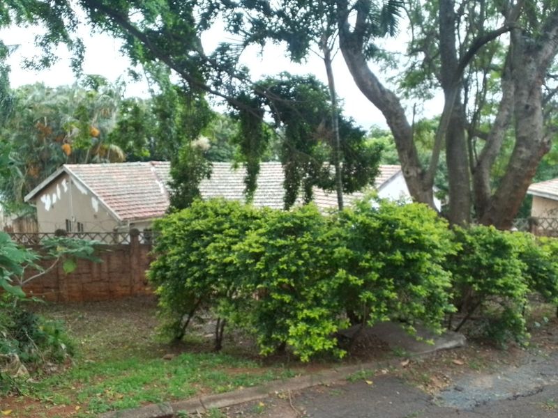 A Renovators Dream -3 Bedroom  Property in Westridge /Manor Gardens - Photo 2