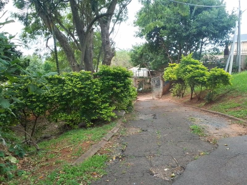 A Renovators Dream -3 Bedroom  Property in Westridge /Manor Gardens - Photo 7