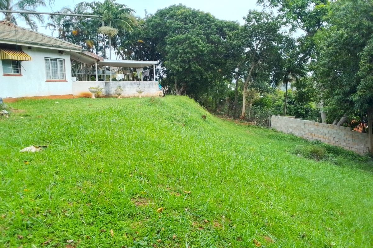 A Renovators Dream -3 Bedroom  Property in Westridge /Manor Gardens - Photo 3