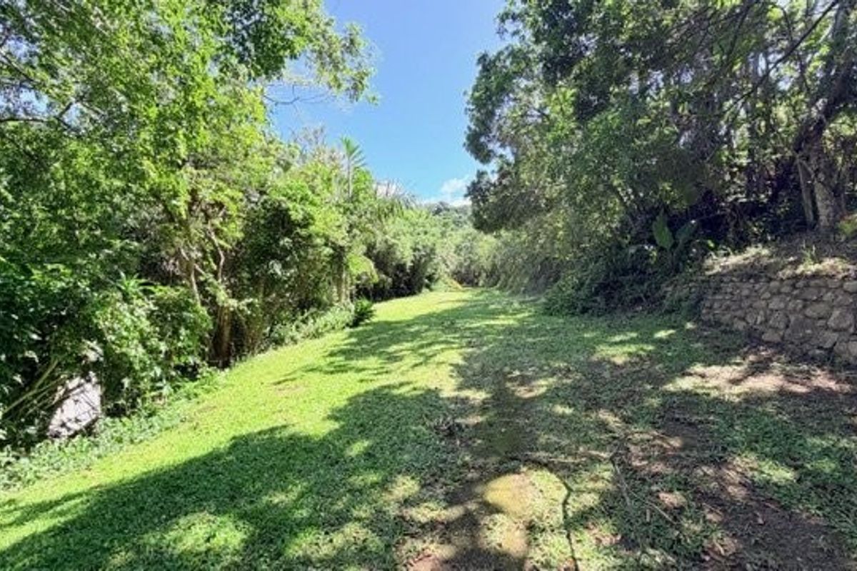 Spacious Home Surrounded By Nature In Banners Rest - Photo 2