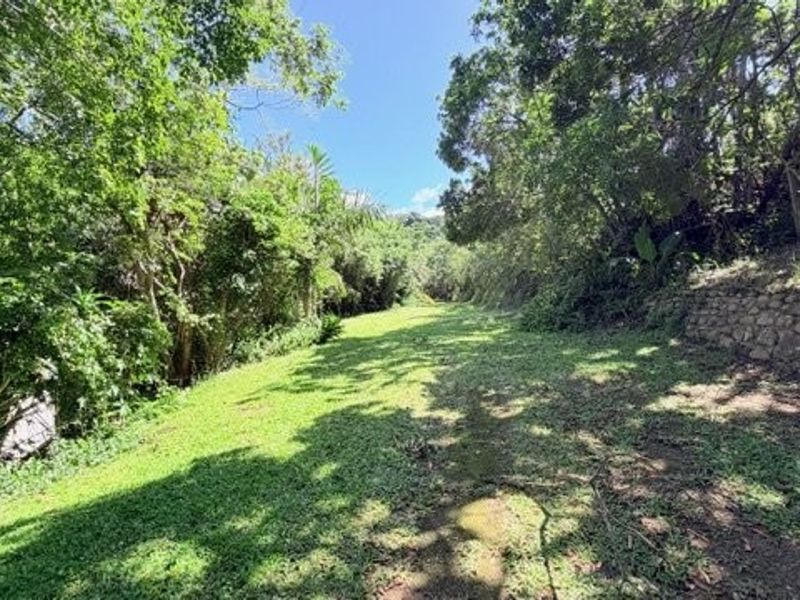 Spacious Home Surrounded By Nature In Banners Rest - Photo 2