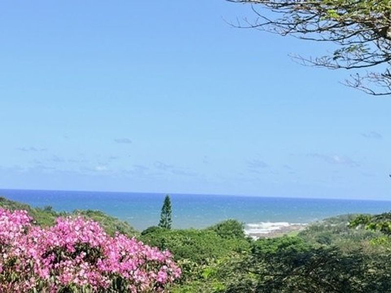 Renovated 6-Bedroom Home With Lovely Sea Views In Leisure Bay - Photo 10