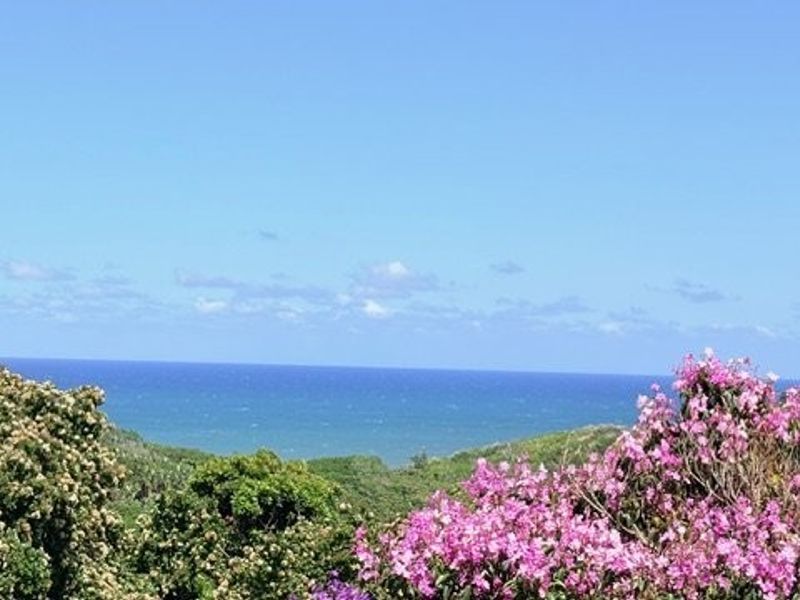 Renovated 6-Bedroom Home With Lovely Sea Views In Leisure Bay - Photo 1