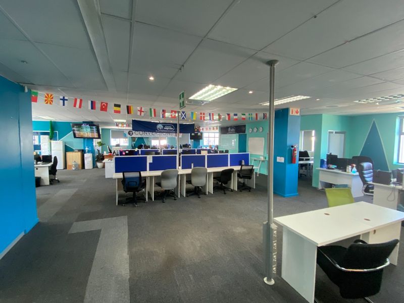 Open-plan commercial office space featuring a suspended ceiling, recessed lighting, and carpeted flooring, suitable for a collaborative work environment.
