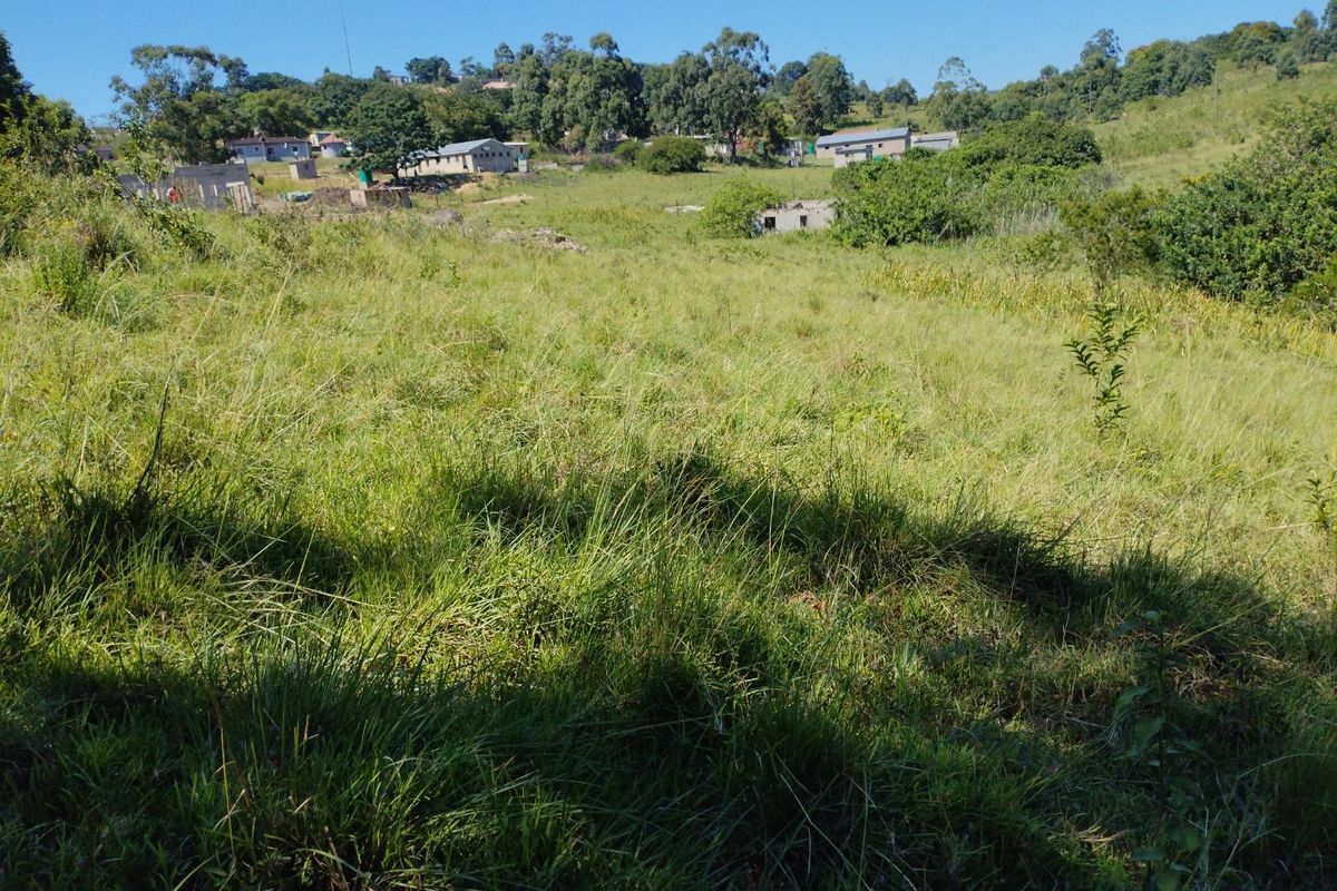 Vacant land for sale in Dlangezwa,Ongoye. - Photo 3