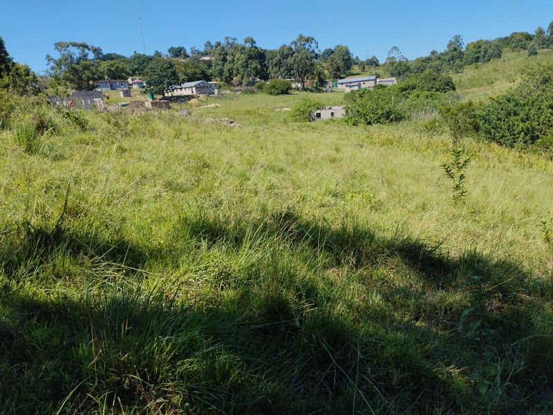 Vacant land for sale in Dlangezwa,Ongoye. - Photo 3