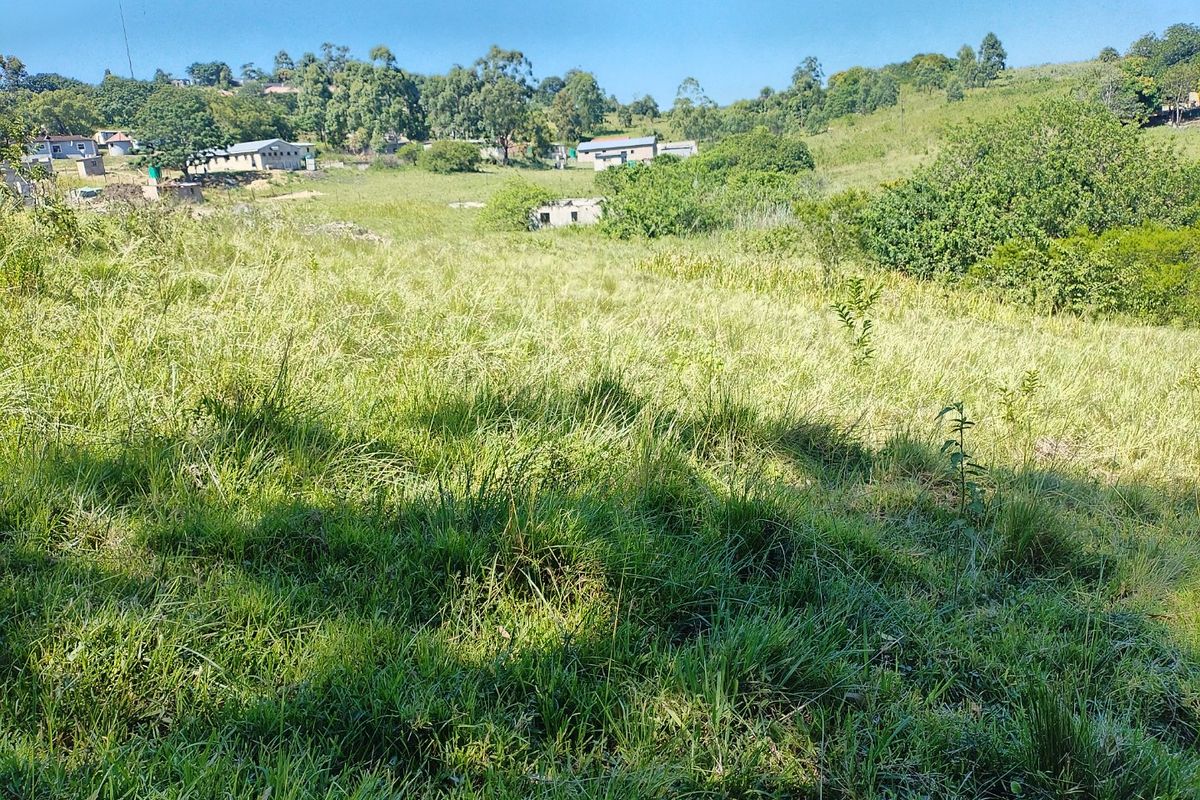 Vacant land for sale in Dlangezwa,Ongoye. - Photo 4