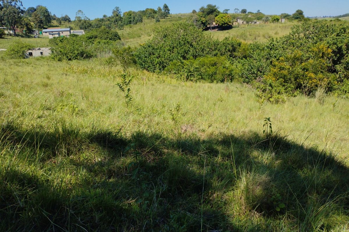 Vacant land for sale in Dlangezwa,Ongoye. - Photo 2