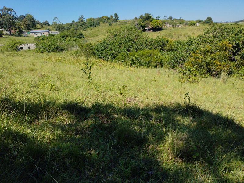 Vacant land for sale in Dlangezwa,Ongoye. - Photo 2
