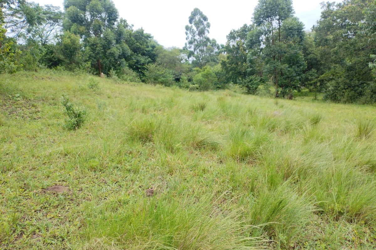 Vacant land for sale in Dlangezwa,Ongoye. - Photo 5