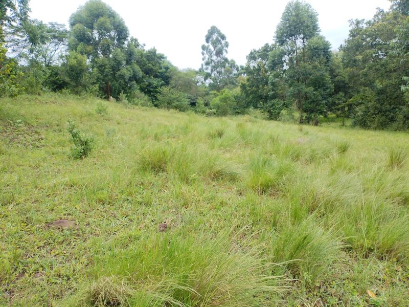 Vacant land for sale in Dlangezwa,Ongoye. - Photo 5