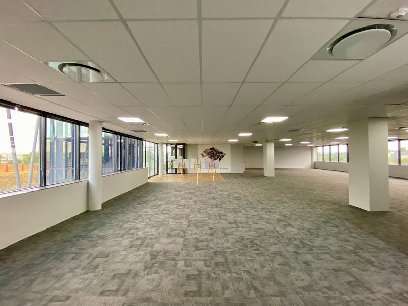 Spacious open-plan commercial office area featuring large windows, carpeted flooring, and a suspended ceiling with recessed lighting.