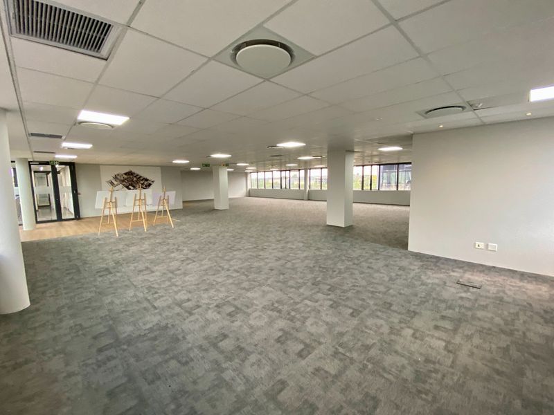 A spacious, open-plan commercial office area featuring a suspended ceiling, recessed lighting, carpeted flooring, and large windows providing ample natural light.