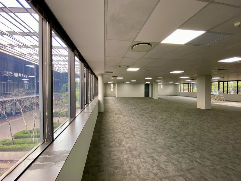 Spacious, open-plan commercial office area featuring large windows, carpeted flooring, and a suspended ceiling with integrated lighting.