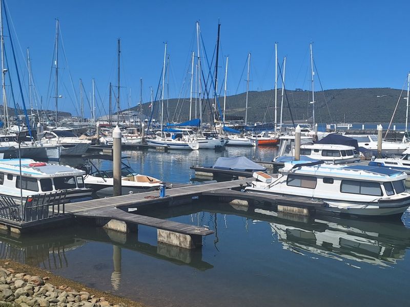 Knysna. Where nature meets luxury with tranquil estuary living under ancient Milkwood trees  - Photo 5