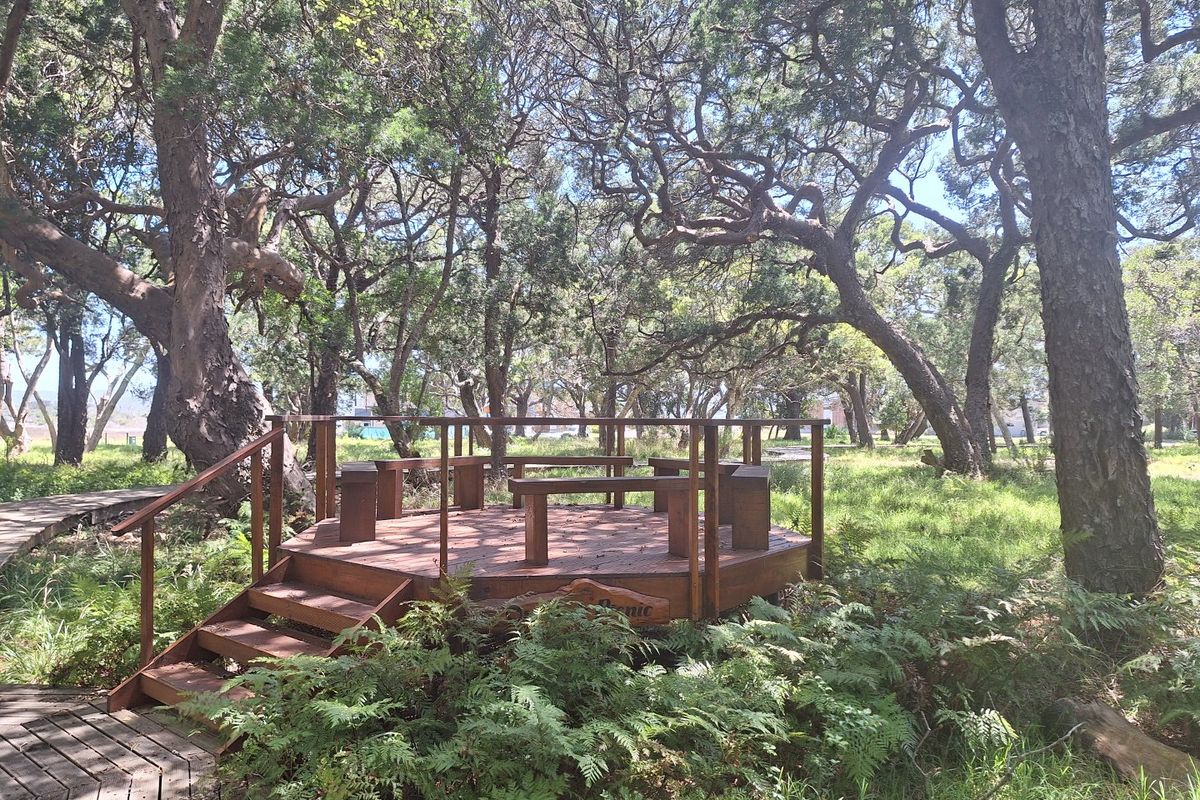 Knysna. Where nature meets luxury with tranquil estuary living under ancient Milkwood trees  - Photo 3