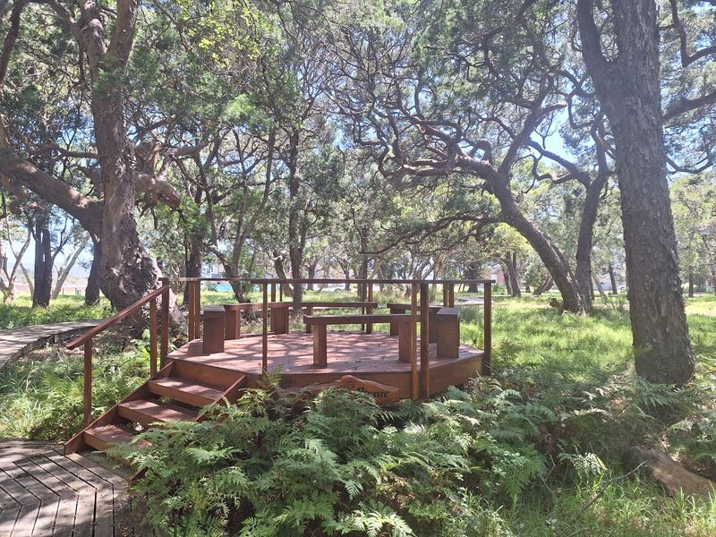 Knysna. Where nature meets luxury with tranquil estuary living under ancient Milkwood trees  - Photo 3