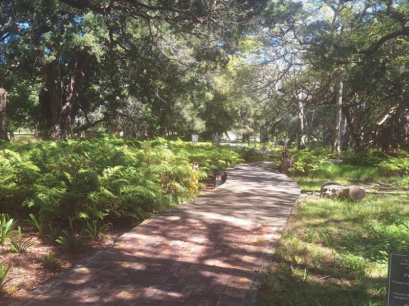 Knysna. Where nature meets luxury with tranquil estuary living under ancient Milkwood trees  - Photo 8