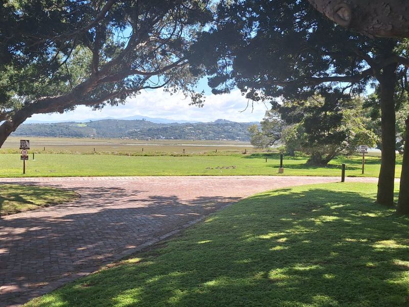 Knysna. Where nature meets luxury with tranquil estuary living under ancient Milkwood trees  - Photo 7