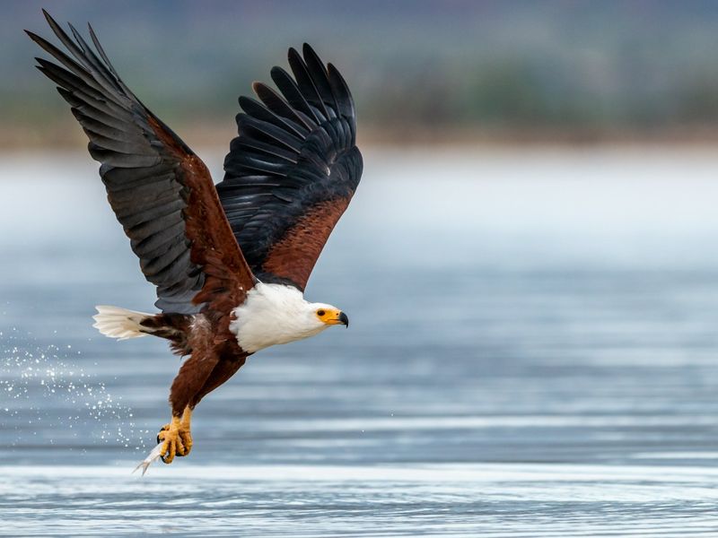 Exclusive Riverside Development Opportunity - Photo 8