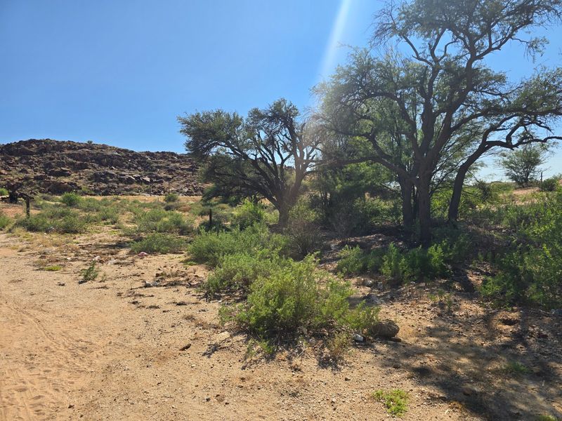 An undeveloped outdoor area featuring natural rocky terrain and mature native trees under a clear sky.
