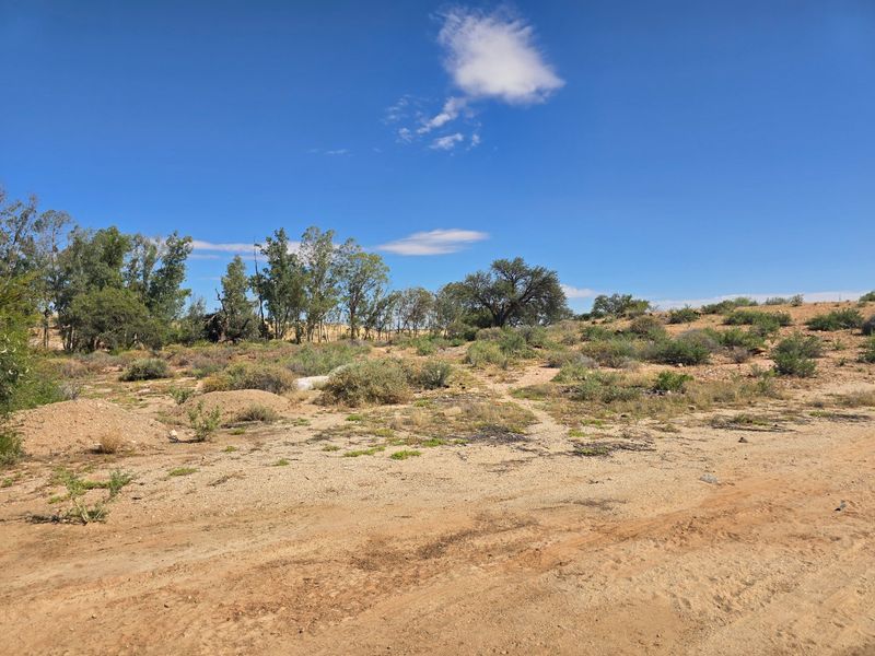 An expansive, undeveloped plot of land featuring natural desert vegetation and open terrain under a clear blue sky.