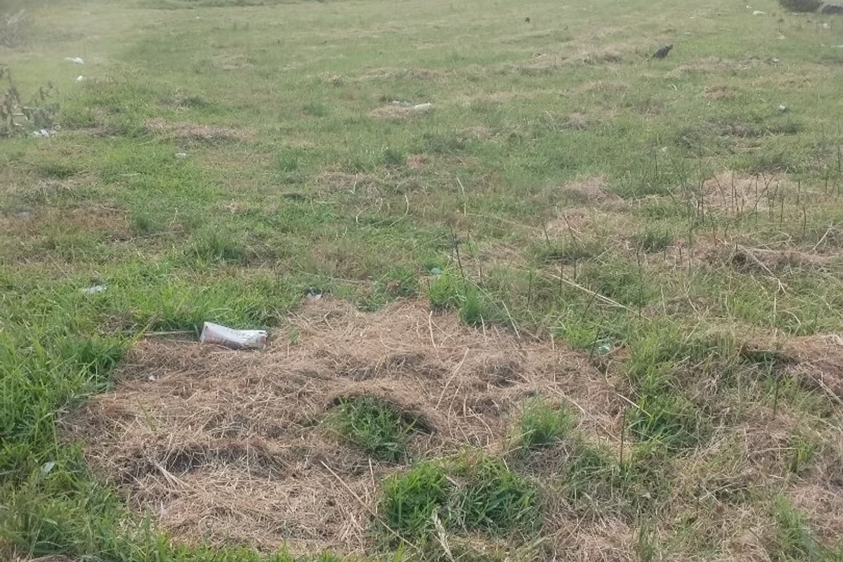 Vacant land for sale in Esikhawini township. - Photo 4