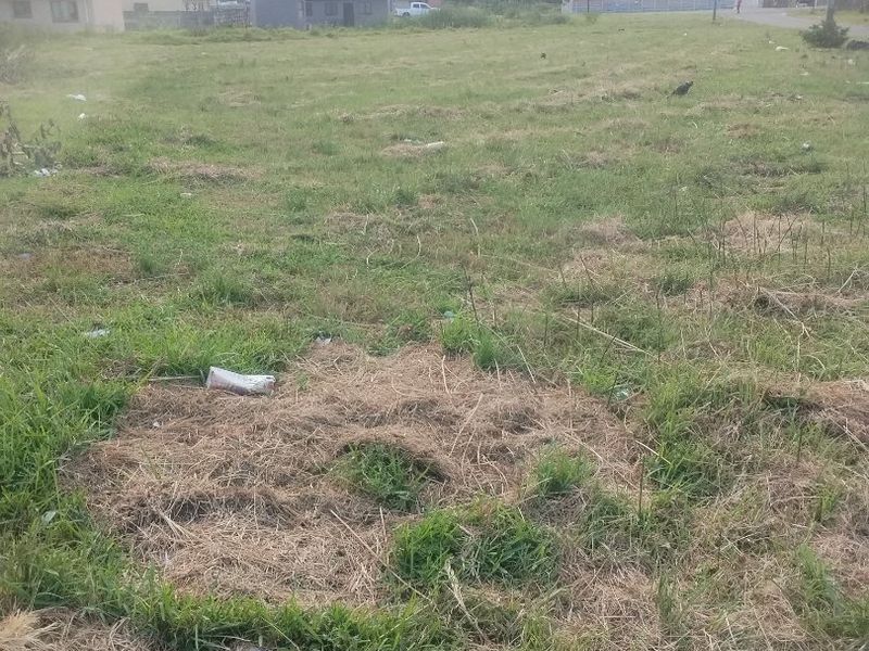 Vacant land for sale in Esikhawini township. - Photo 4