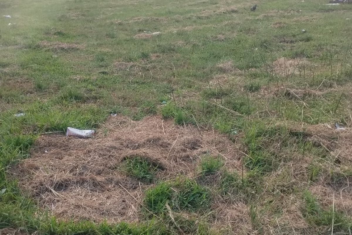 Vacant land for sale in Esikhawini township. - Photo 5