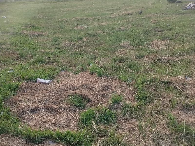 Vacant land for sale in Esikhawini township. - Photo 5