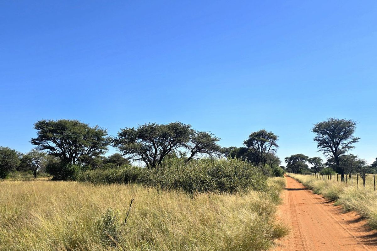 Magnificent livestock farm near Deben in the Kalahari. - Photo 4