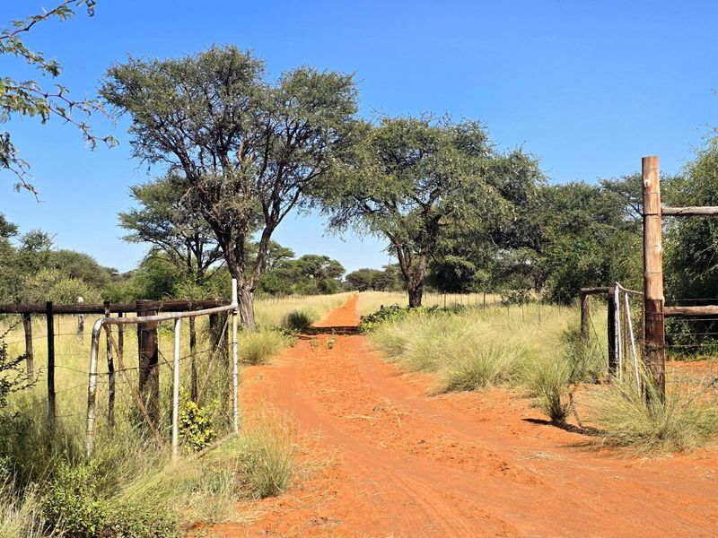 A view of a farm entrance featuring a rustic gate and wire fencing leading onto a dirt road surrounded by natural bushveld.