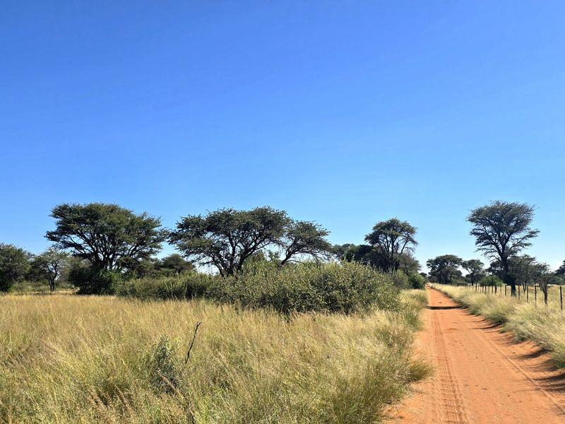 A scenic view of a rural farm landscape featuring a dirt access road, natural grassland, and established indigenous trees under a clear blue sky.