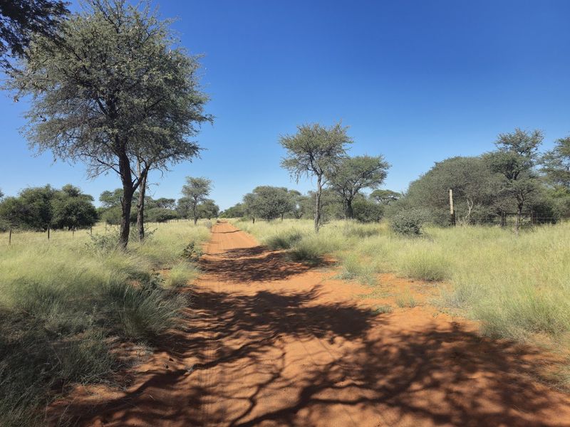 A scenic view of a dirt access road winding through the natural bushveld landscape of the farm property.