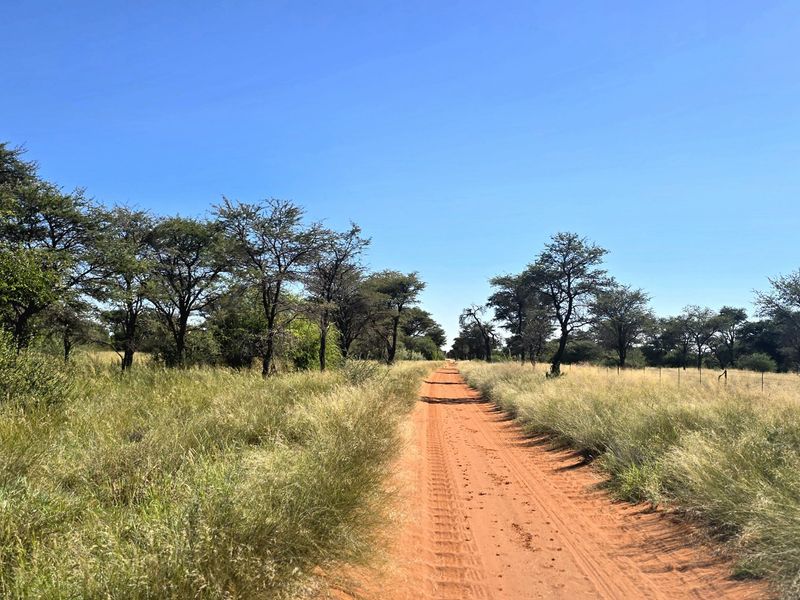 A scenic view of a dirt farm road flanked by native trees and grassland, featuring a perimeter wire fence.