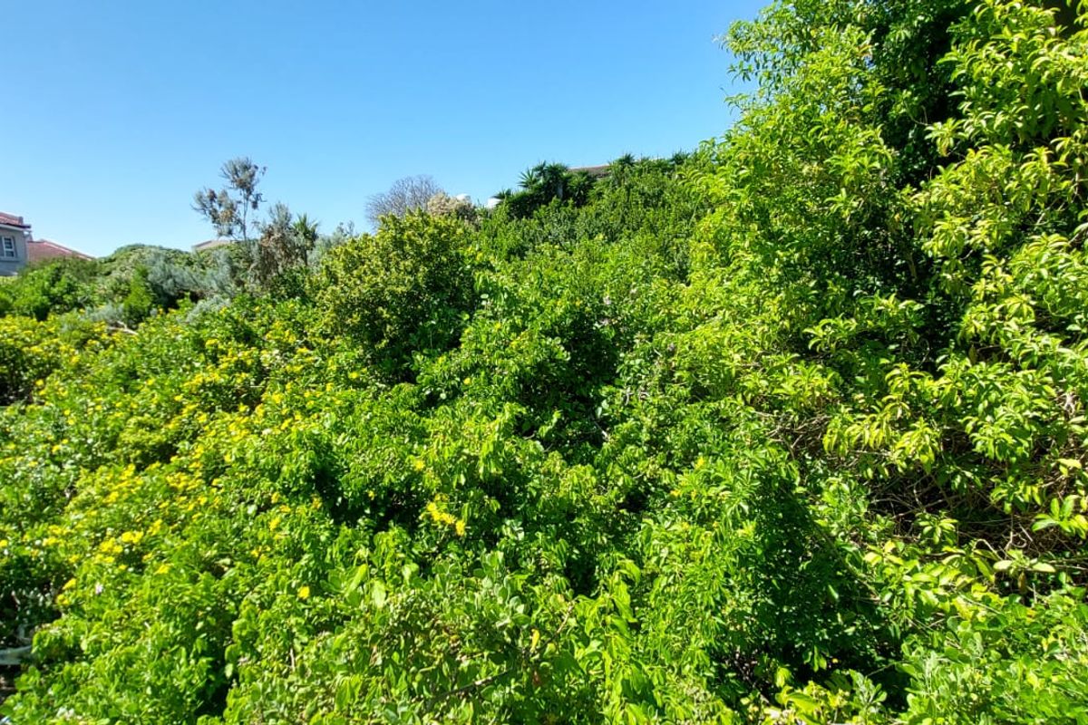 Vacant Land for Sale – Santareme, St Francis Bay - Photo 3