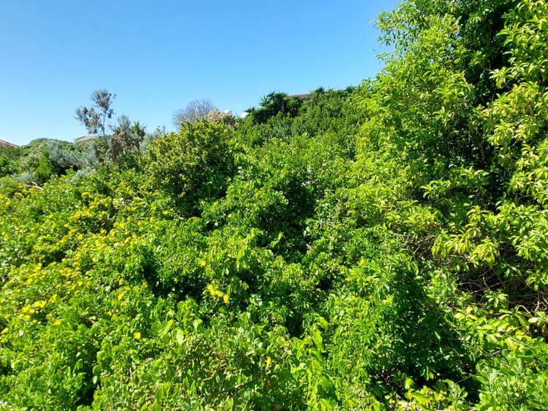 Vacant Land for Sale – Santareme, St Francis Bay - Photo 3